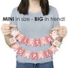 Big Dot of Happiness Girl Little Pumpkin - Fall Birthday Party or Baby Shower Mini Pennant Banner - 3 of 4