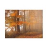 Trademark Fine Art Nicolas Schumacher Edge of The Autumn Woods Wood Slat Art - 3 of 4