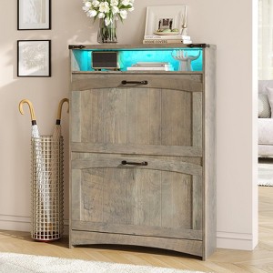 Shoe Storage Cabinet with 2 Flip Drawers & RGB Lights, Narrow Shoe Rack Organizer - 1 of 4