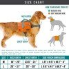 PetAmi Dog Backpack, Saddle Bag For Dogs to Wear, Harness Reflective Safety Side Pockets, Hiking Camping Vest Pack for Travel - 4 of 4