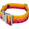 Country Brook Petz 1 1/2 Inch Premium Dog Collar - Abstract Collection - 2 of 4