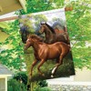 Briarwood Lane Summer House Flag 40x28 For Outdoor Galloping Horses House Flag Flag For Summer House Flag - 4 of 4