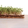 Envelor Coco Grow Mat for Microgreen Seedlings Trays - 4 of 4