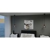 Hidalgo 1-Light Mini Pendant Light - 3 of 4