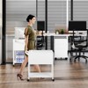 Mlezan 2-Drawer File Cabinet:  Metal, Lockable Printer Stand for Home or Office. Fits Letter/Legal/F4/A4 Hanging Files, Compact and Functional. - 2 of 4