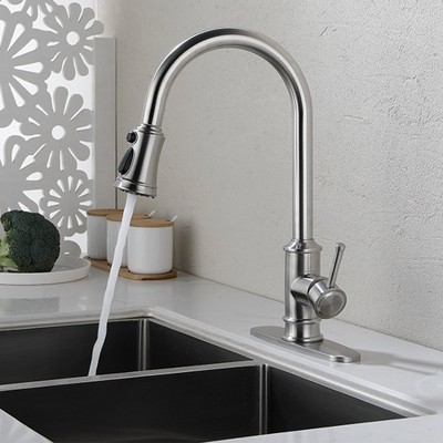 Single Handle High Arc Pull Out Kitchen Faucet, Single Level Stainless Steel Kitchen Sink Faucets with Pull Down Sprayer