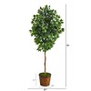 Nearly Natural 6.5-ft Ficus Artificial tree in Wicker Planter - 2 of 4