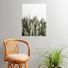 Romana Lilic / LA76 Photography Moonshine Snake Plant 18" x 24" Poster - Society6 - 2 of 3