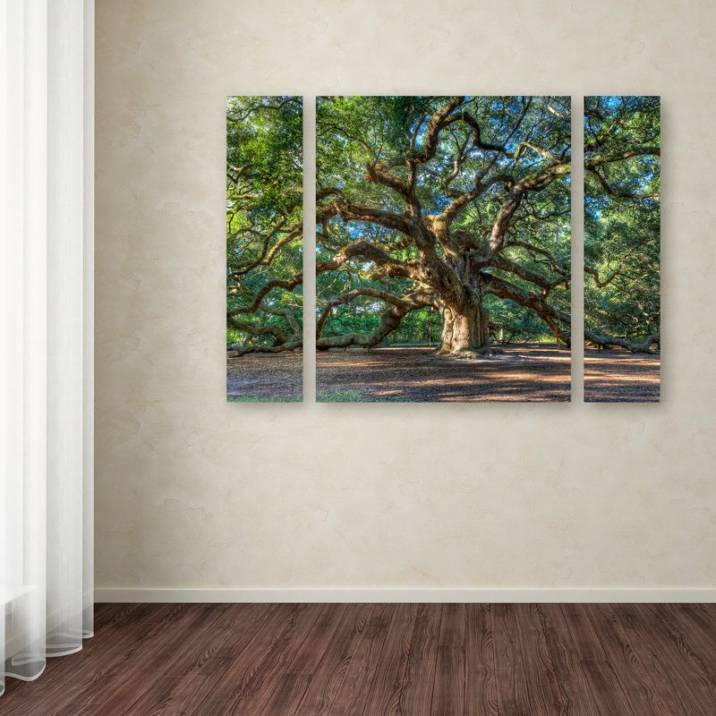 Trademark Fine Art -QVC ONLY Lavish Home Pierre Leclerc 'Angel Oak Charleston' Multi Panel Art Set Large, 3 of 4