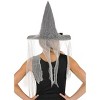 HalloweenCostumes.com One Size Fits Most Women Women's Spider Witch Hat, Black/Gray - 3 of 3