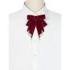 INSPIRE CHIC Women's Ribbon Bow Ties Velvet Solid Color Rhinestone Wings Bow Brooch - 4 of 4