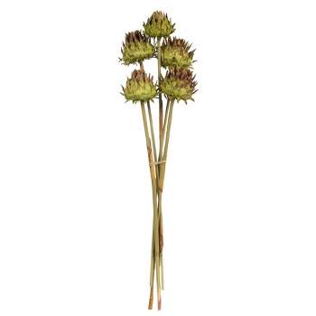 Vickerman Natural Dried Artichoke Head attached to a Reed Stem, Dried