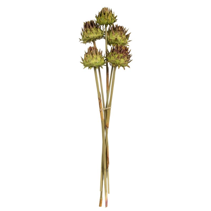 Vickerman Natural Dried Artichoke Head attached to a Reed Stem, Dried, 1 of 5