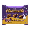 Cadbury Caramello Milk Chocolate Caramel Easter Candy Miniatures - 7.6oz - 2 of 4