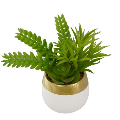 Chic 6.5" White and Gold Ceramic Potted Artificial Succulent