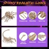 Yescom 2 Pcs Spider and 2 Pcs Scorpion Skeleton for Halloween Decoration Indoor Outdoor - 3 of 4