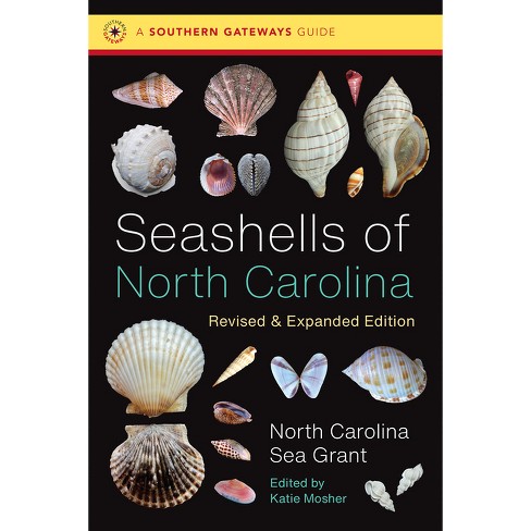 Seashells Of North Carolina, Revised And Expanded Edition - (southern  Gateways Guides) 2nd Edition By North Carolina Sea Grant (paperback) :  Target