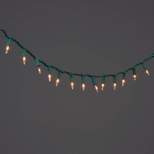 100ct Incandescent Smooth Mini String Lights Clear with Green Wire - Wondershop™