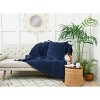 carol & frank River Indigo Personal Comforter Decor - 2 of 2