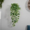 Nearly Natural 36-in Fittonia Hanging Bush Artificial Plant (Set of 2) (Real Touch) - 2 of 2