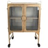 Storied Home Metal Bar Cabinet with Glass Doors and Wheels Gold/Antique Brass - 2 of 4