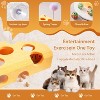 Cheese Shape Cat Toy with Track Balls and Spring Teaser – Interactive Felt Puzzle Box for Indoor Cats Anti-Slip Suction Base (Yellow) - 4 of 4