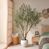 DR.Planzen Lifelike 6ft Artificial Olive Tree with Dual Trunk Design, White Round Planter Faux Olive Tree for Indoor Outdoor Home Decor - 4 of 4