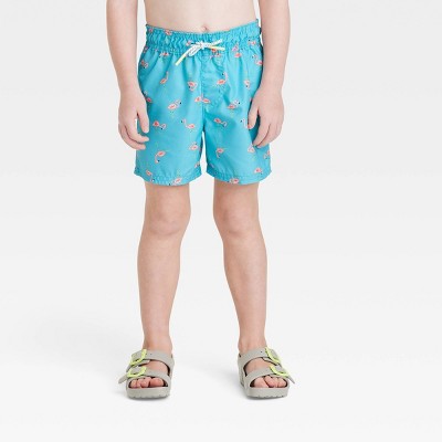 Toddler Boys' Flamingo Swim Shorts - Cat & Jack™ Blue, image 1 of 6 slides