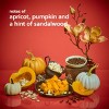 Tree Hut Shea Sugar Body Scrub - Sweet Punkin - 18oz - 4 of 4