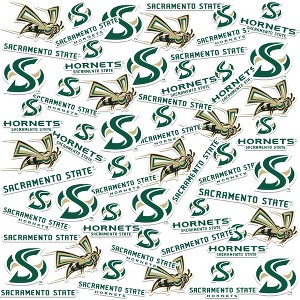 Sacramento State University Spirit Logos 50Ct Sticker Pack Miscellaneous 50 Ct. Sticker Pack - 1 of 4