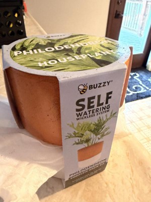 Buzzy Seeds Philodendron Terracotta Self Watering Garden Kit : Target