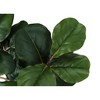Monarch Specialties Artificial Plant 32 inch Tall Fiddle Tree Indoor Faux Fake Floor Greenery Potted Real Touch Decorative Green Leaves Black Pot - 4 of 4