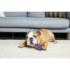Bullymake Tough Chew Grapes and Beef Flavor Dog Food Shaped Toy - 3 of 3