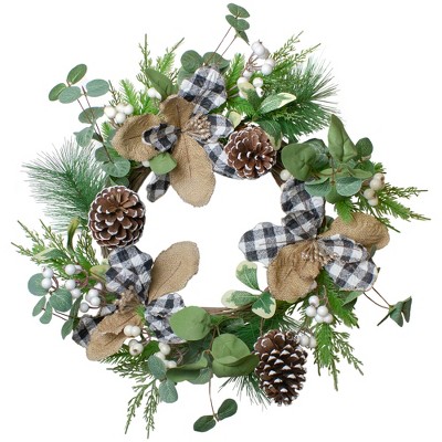 Northlight Magnolia and Frosted Pine Cones Artificial Christmas Wreath -  22-Inch, Unlit