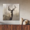 Courtside Market Colorado Buck Gallery-Wrapped Canvas - 2 of 4