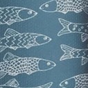 steel blue fish