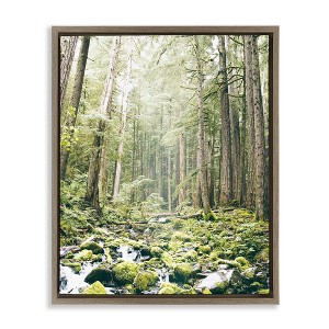 Stupell Industries Verdant Forest Glow Wilderness Floating Frame Canvas Art - 1 of 4