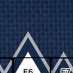 vancouver whitecaps