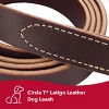 Circle T by Coastal Pet - Latigo Leather Twist Dog Leash with Brass Hardware (6') & Latigo Leather Round Dog Collar (3/8" x 14") - image 2 of 3