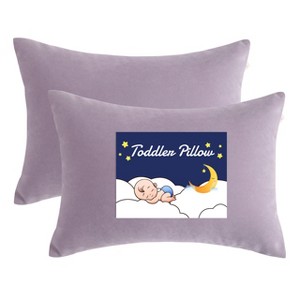 2 Pack Microfiber Toddler Pillows, Soft Down Alternative Travel Pillows - NTBAY - 1 of 4