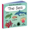 Sassi: Q-Box - The Sea - 40pc Puzzle,Booklet & 10 Ocean Figures,Interactive Fun - 3 of 4