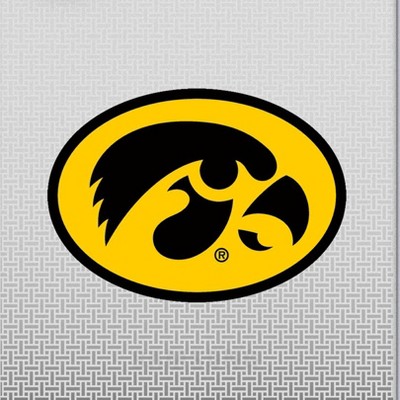 iowa hawkeyes