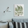 Stupell Industries Forest Botanicals Charming White Willow Greenery - 2 of 4