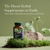 Gaia Herbs Menopause Support Daytime - Helps Maintain Healthy Hormone Balance and Well-Being for Women - 60 Vegan Liquid Phyto-Capsules - 3 of 4