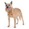 BARK Rave Dweller Ball Dog Toy - 3 of 4