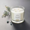  Clear Glass Cypress & Juniper Candle White - Threshold™ designed with Studio McGee - image 2 of 4