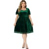 Agnes Orinda Women's Plus Size Velvet Lace Trim Short Sleeve Party A Line Dresses - 3 of 4