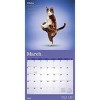 BrownTrout Yoga Cats 2026 12"x24" Hanging Square Wall Calendar Plastic-Free - 3 of 4