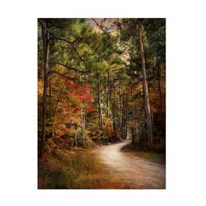 Trademark Fine Art -Jai Johnson 'Autumn Forest 2' Canvas Art - 1 of 4