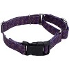 Country Brook Petz­ Martingale with Deluxe Buckle - Paisley Collection - 3 of 4